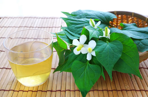 内側から撃退！◯◯◯茶でニキビケア